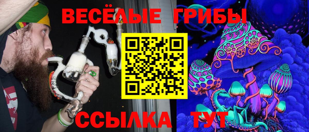Галлюциногенные грибы ЛСД Полевской